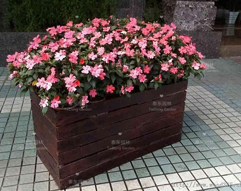 花箱 花箱