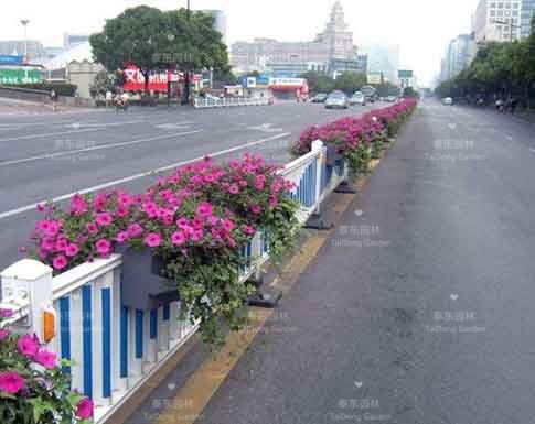 花箱 花箱