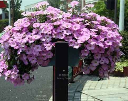 花箱 花箱